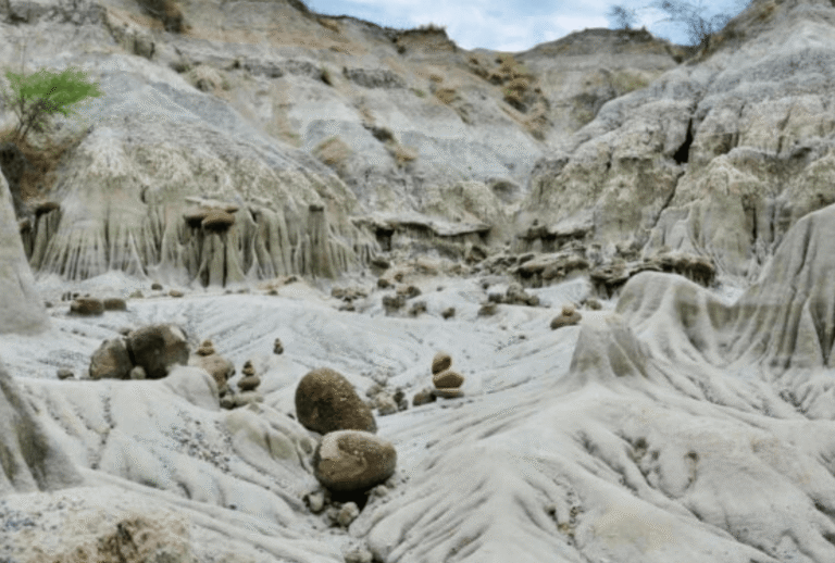 Untitled design - 2026-01-06T170212