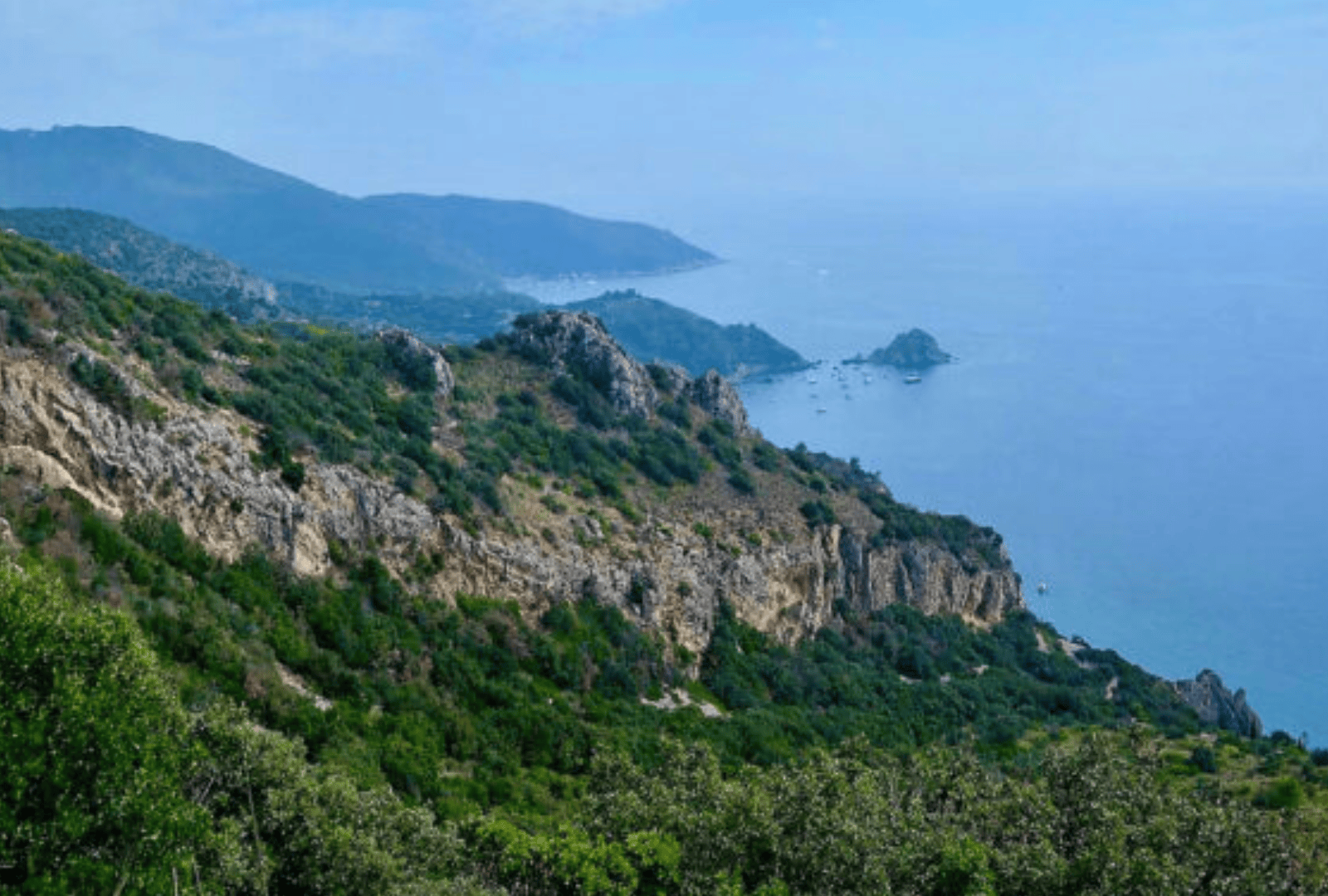 Untitled design - 2026-01-06T170349