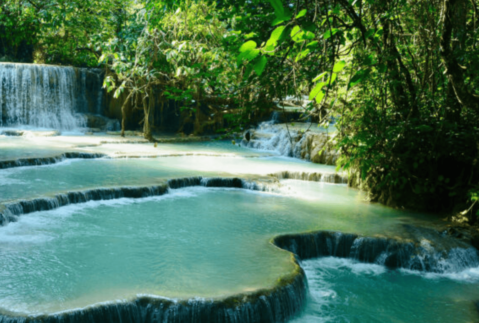 Untitled design - 2026-01-06T170456