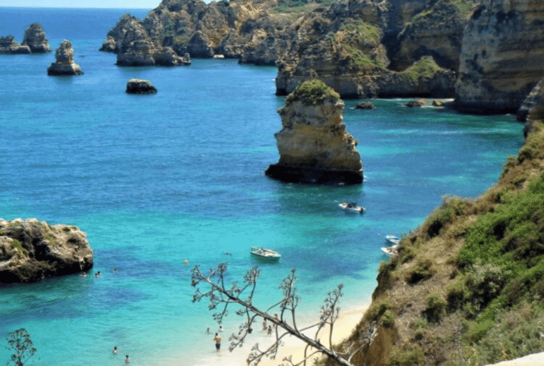 Untitled design - 2026-01-06T170607