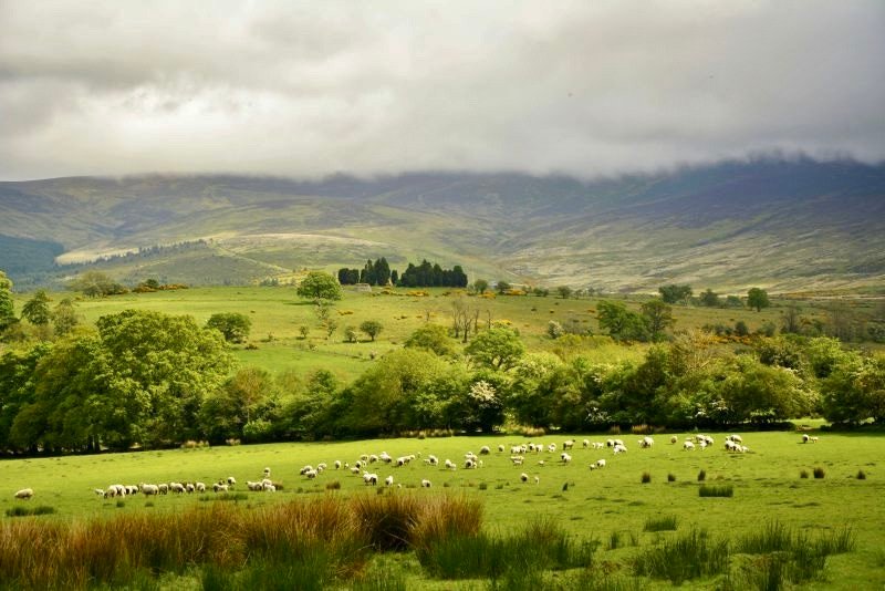 10 best places to visit in Ireland - Wicklow