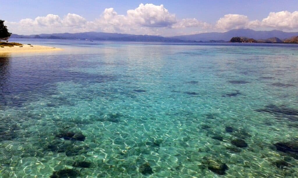 Kanawa island Resort.