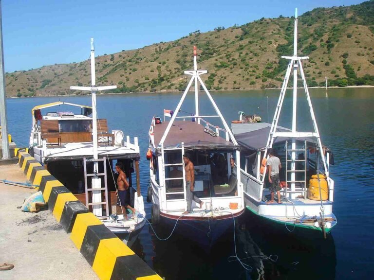 How to get to Komodo Island?