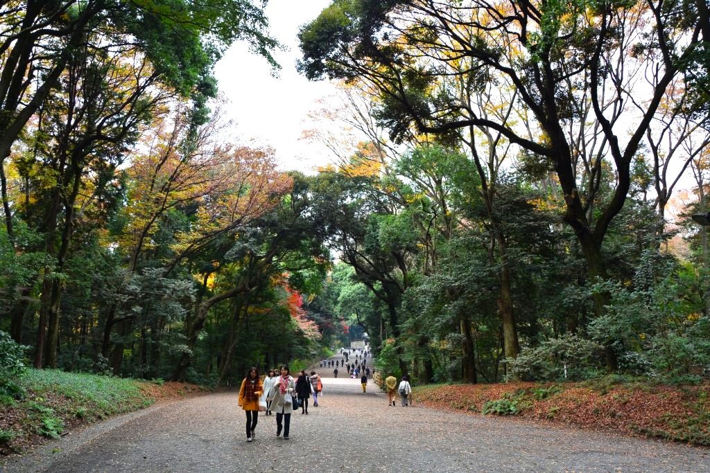 Things to do in Meiji Jingu Tokyo's most important Shrine.