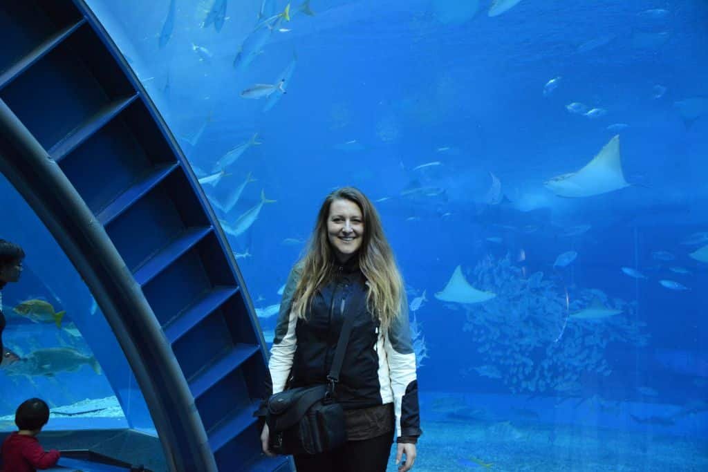 Watching whale sharks in Okinawa Churaumi Aquarium.