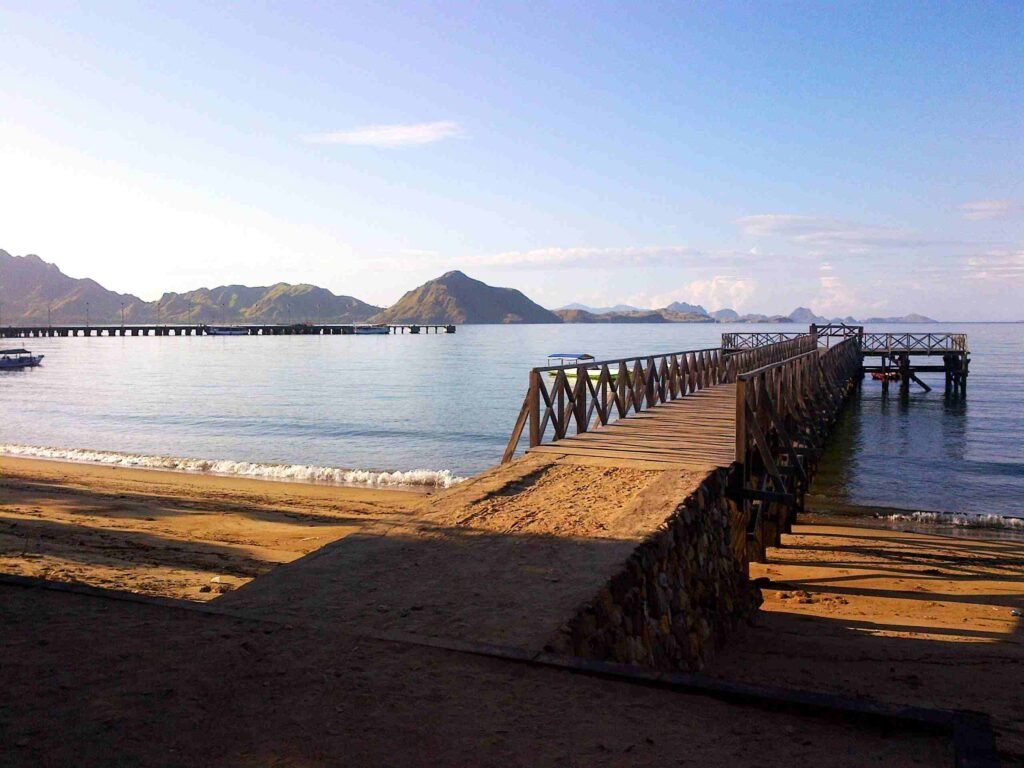 How to visit Komodo & Rinca Islands in wild Indonesia.