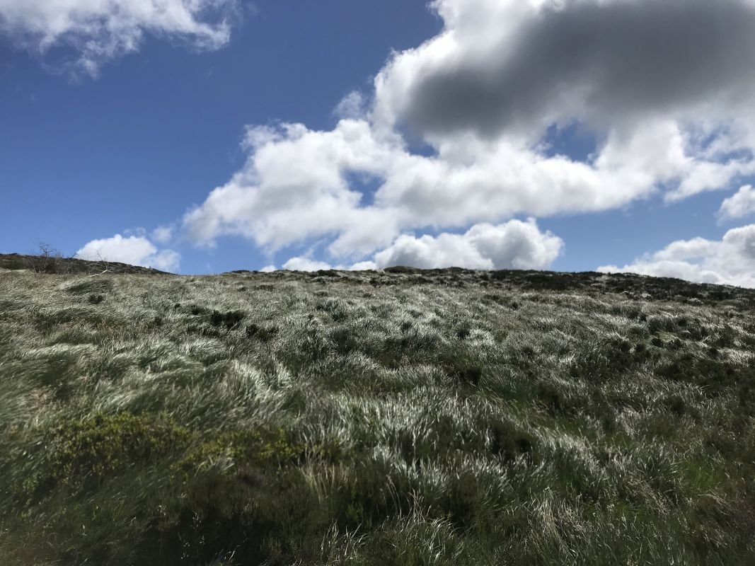 Hiking Djouce from Lough Tay (the Guinness Lake)–magnificent trail in Wicklow Mountain.