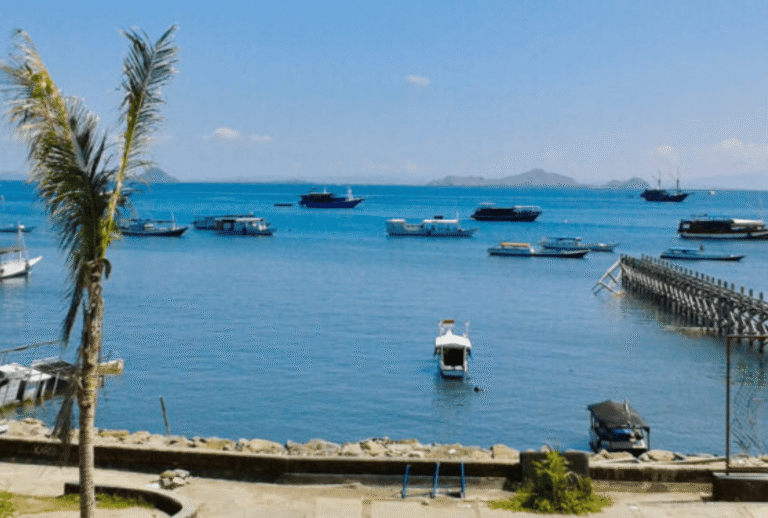 Untitled design - 2026-01-06T171723