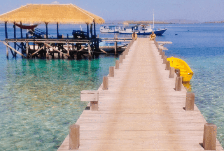 Untitled design - 2026-01-06T172249