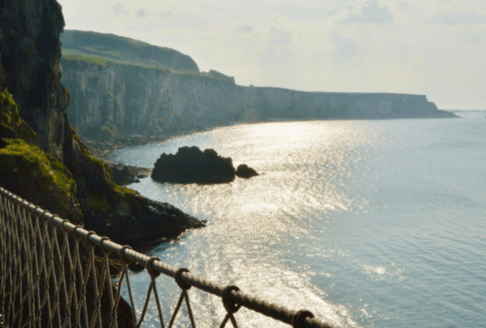 Untitled design - 2026-01-06T172552