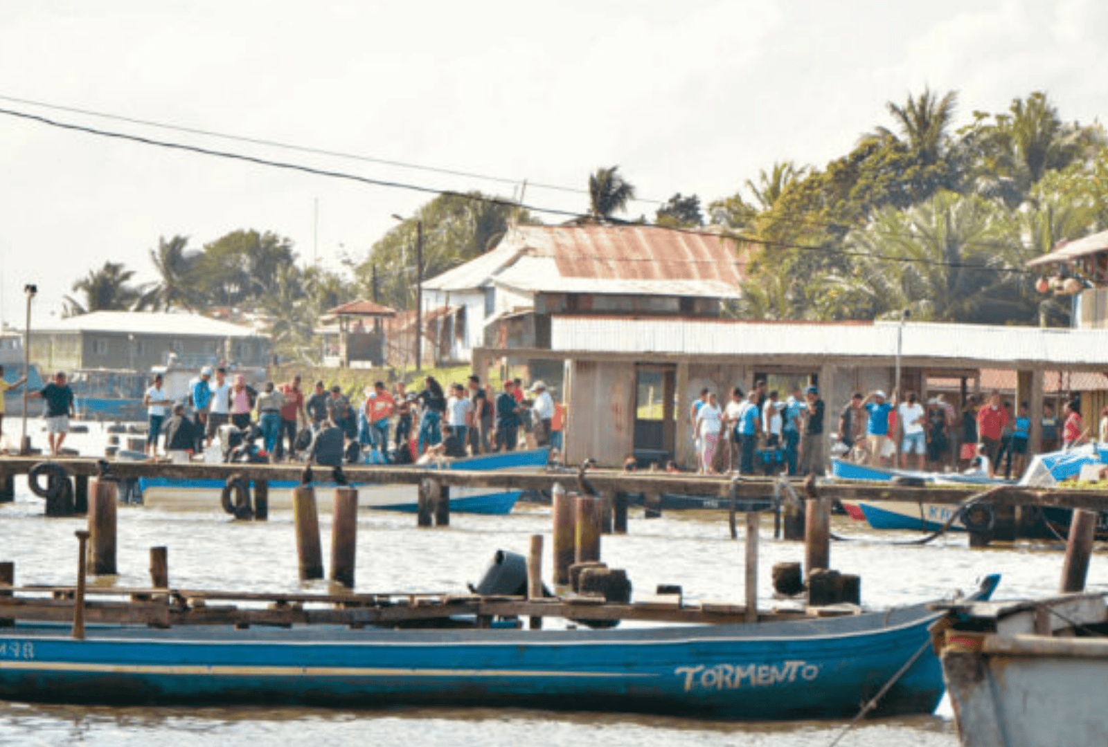 Untitled design - 2026-01-06T172651