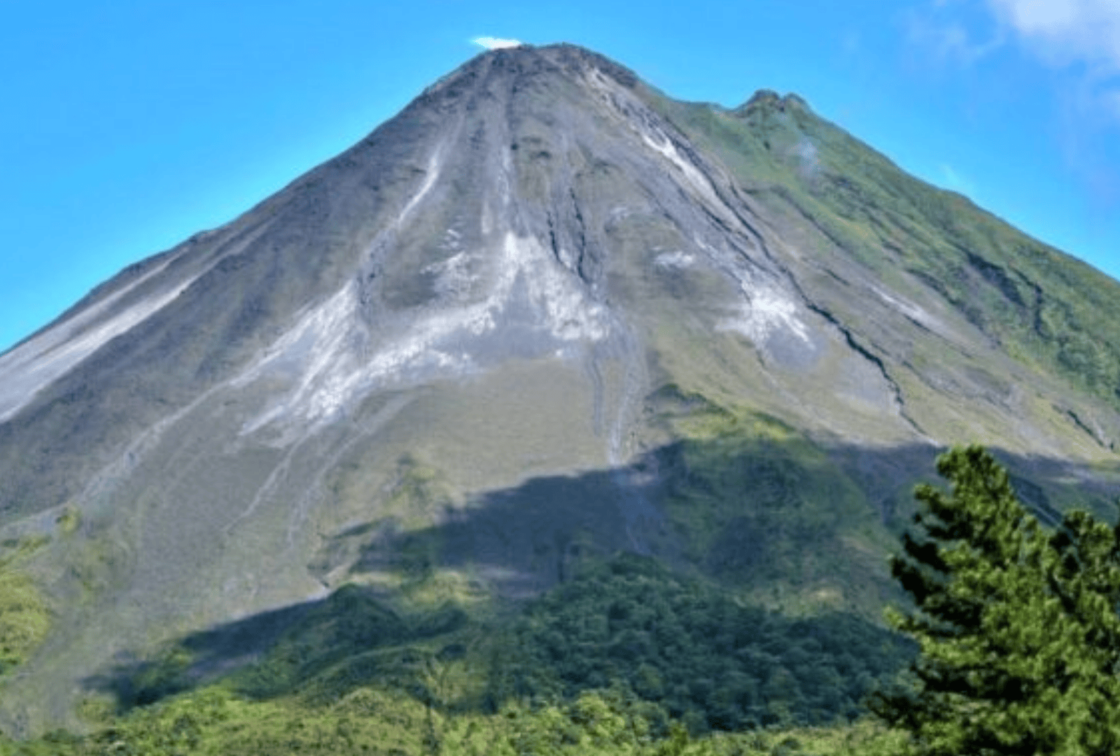 Untitled design - 2026-01-06T174026