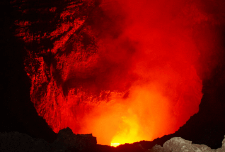 Untitled design - 2026-01-06T174627