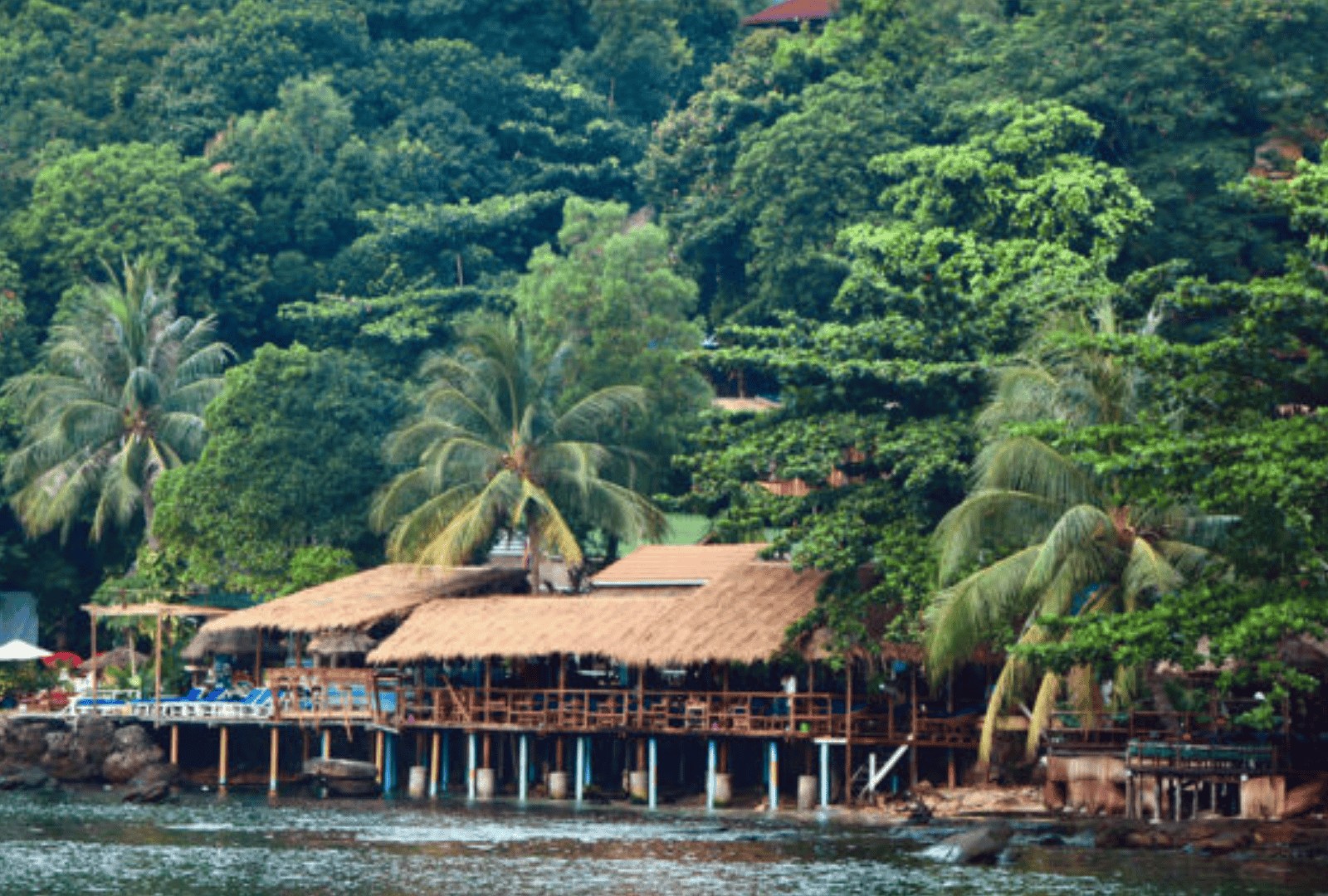 Untitled design - 2026-01-06T175416