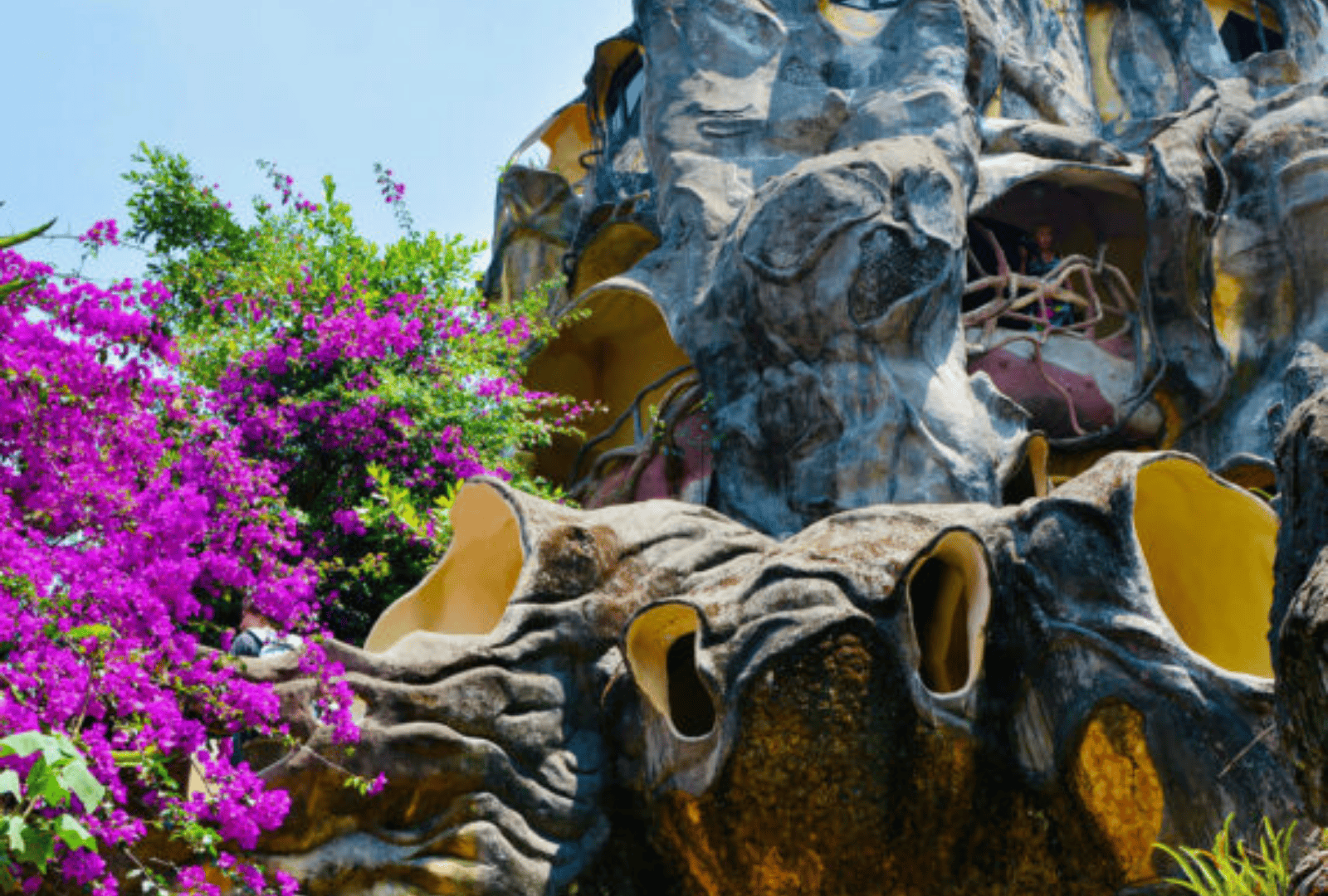 Untitled design - 2026-01-12T184604