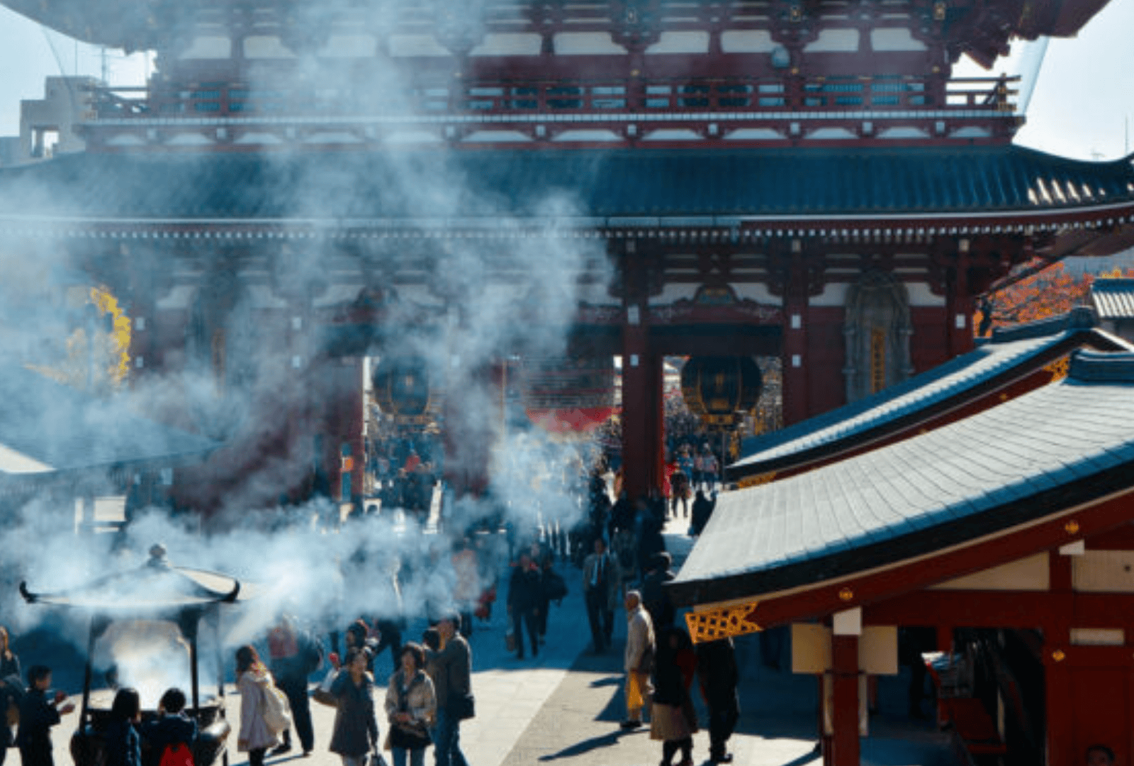 Untitled design - 2026-01-12T184750