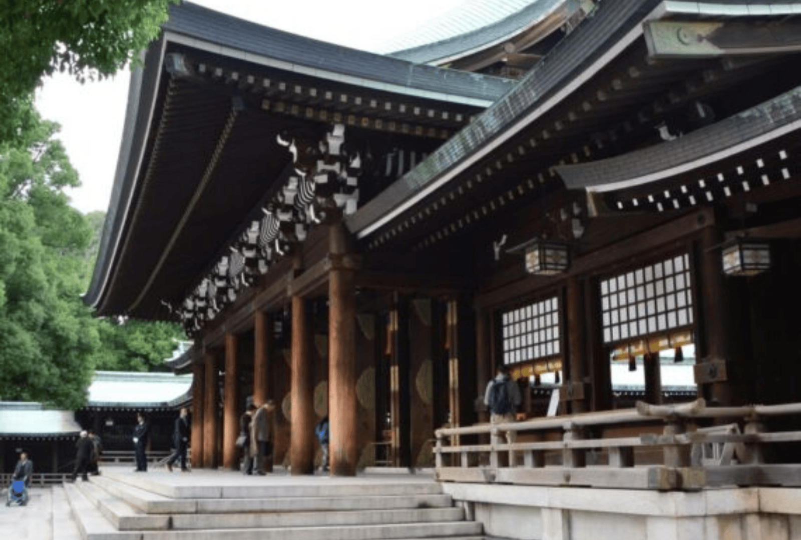 Untitled design - 2026-01-12T185011