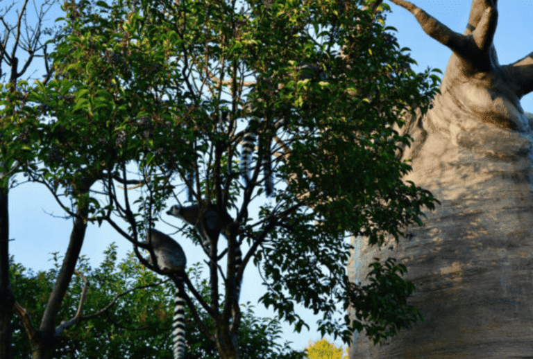 Untitled design - 2026-01-12T185126