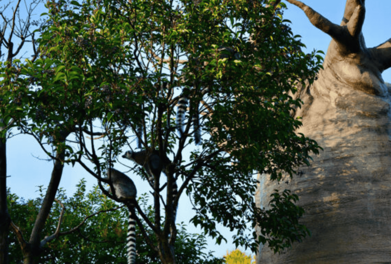 Untitled design - 2026-01-12T185126