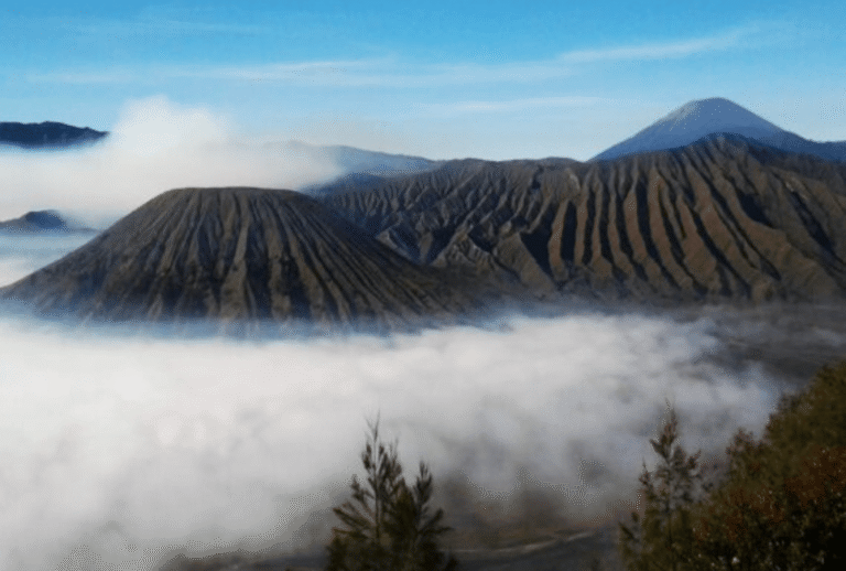 Untitled design - 2026-01-12T185442