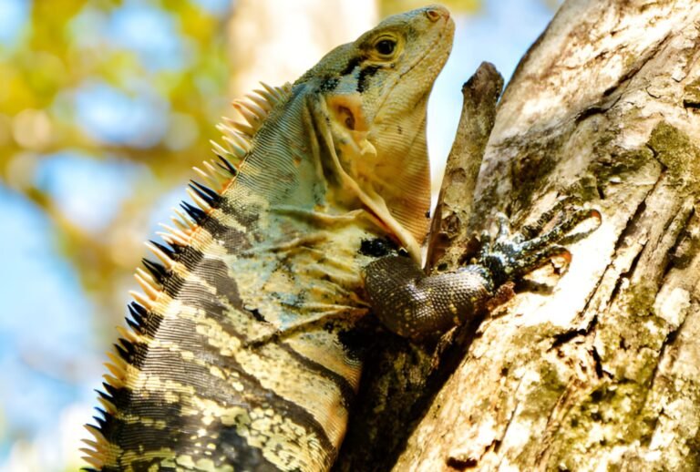 Untitled design (48)