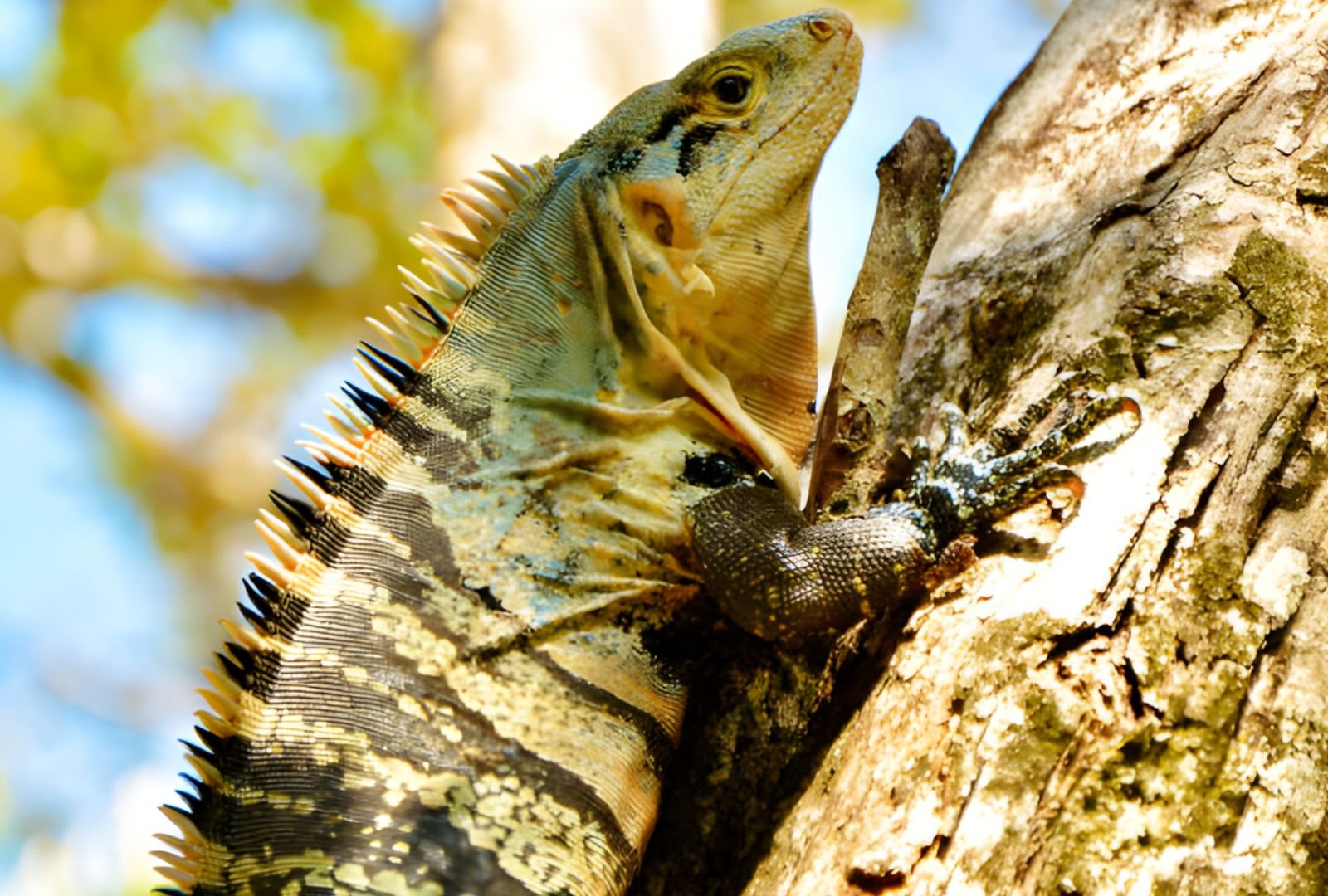 Untitled design (48)