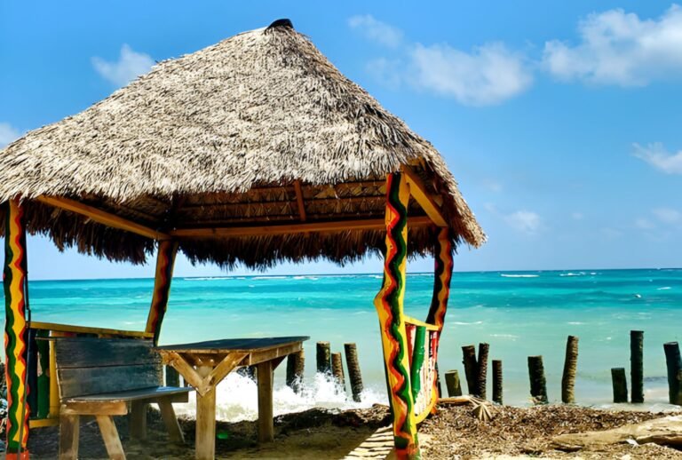 Untitled design (50)