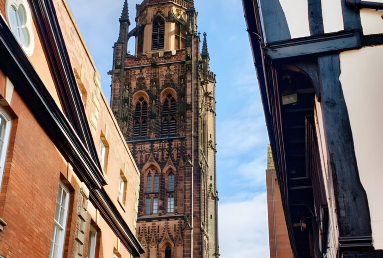 Untitled design (52)