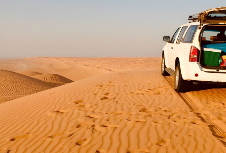 Untitled design (55)