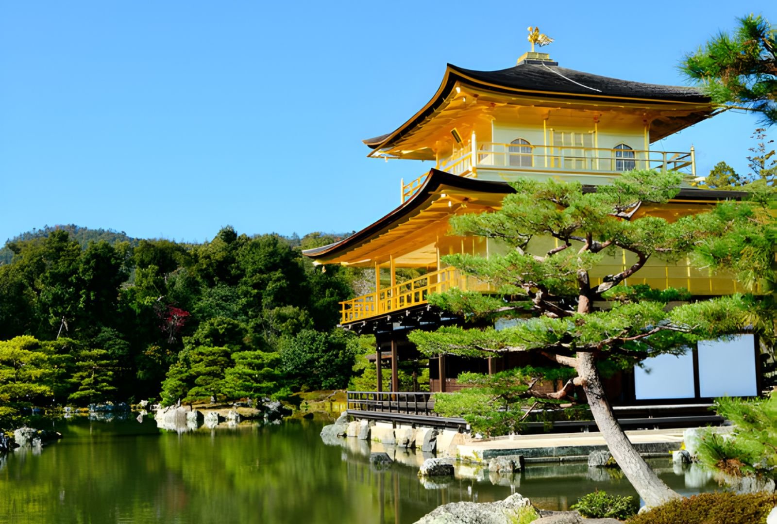 Untitled design (58)