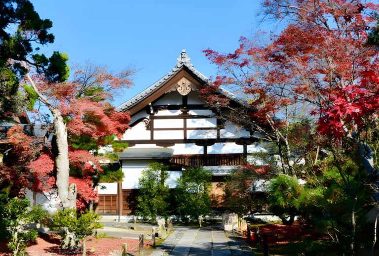 Untitled design (59)