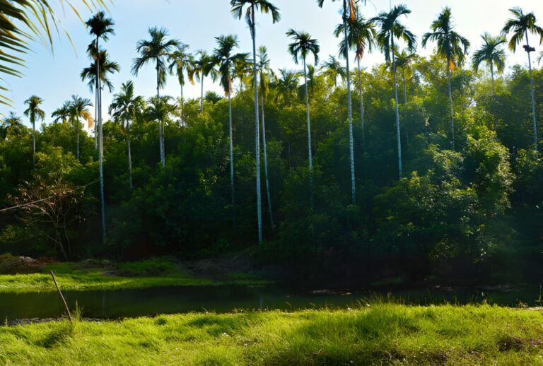 Untitled design (64)