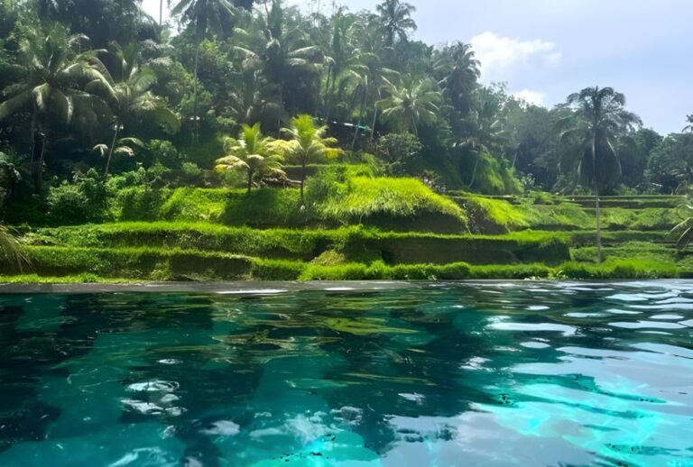 Untitled design (68)