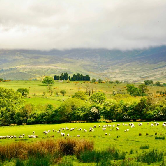 The coolest things to do in Dublin - Freestyletraveling.com