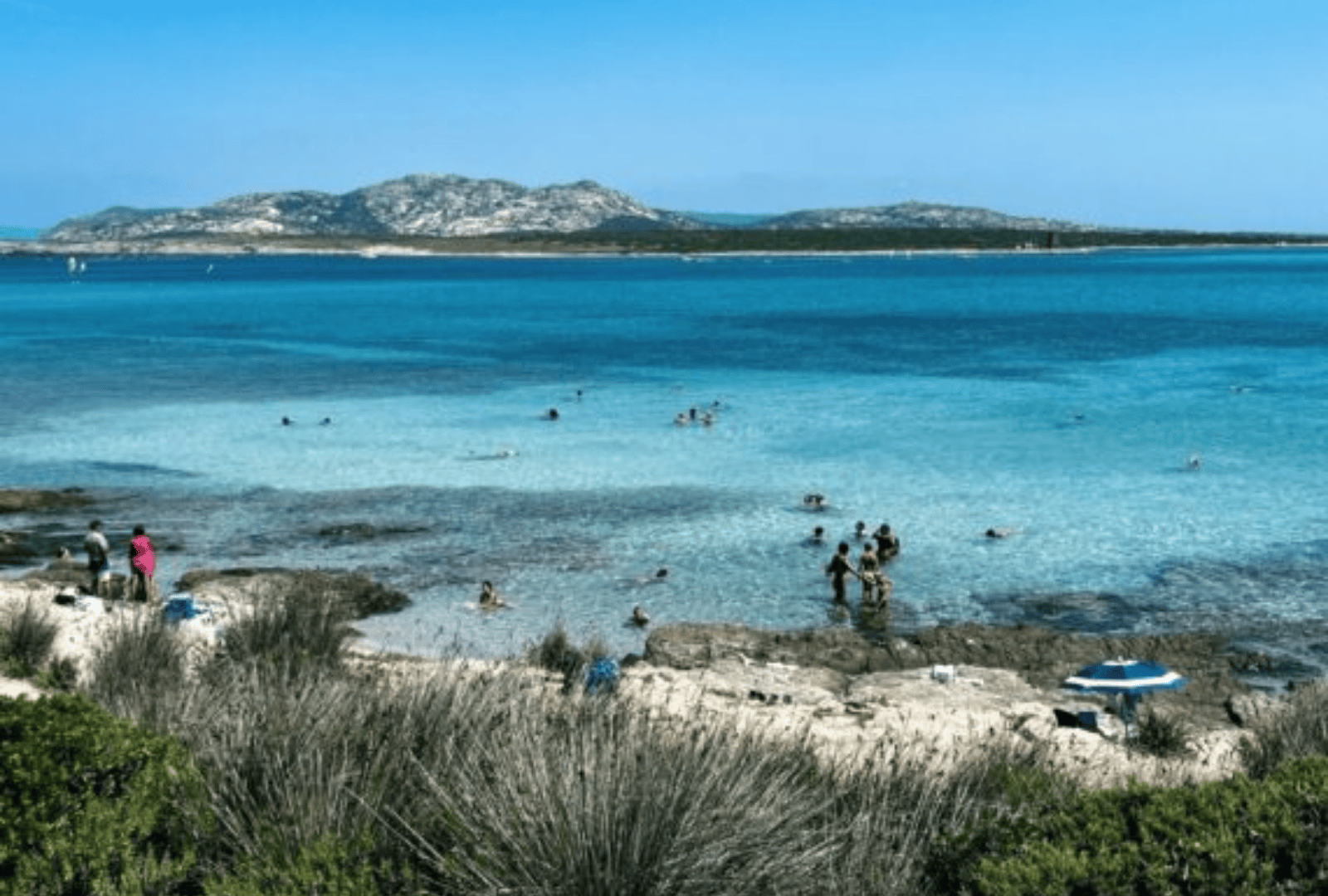 Untitled design - 2026-01-12T181052