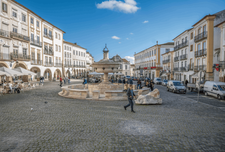 Untitled design - 2026-01-12T171439