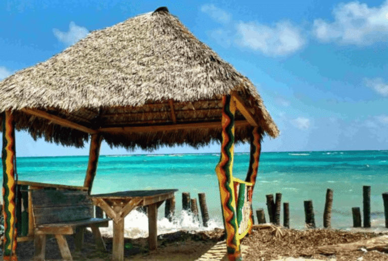 Untitled design - 2026-01-12T165758