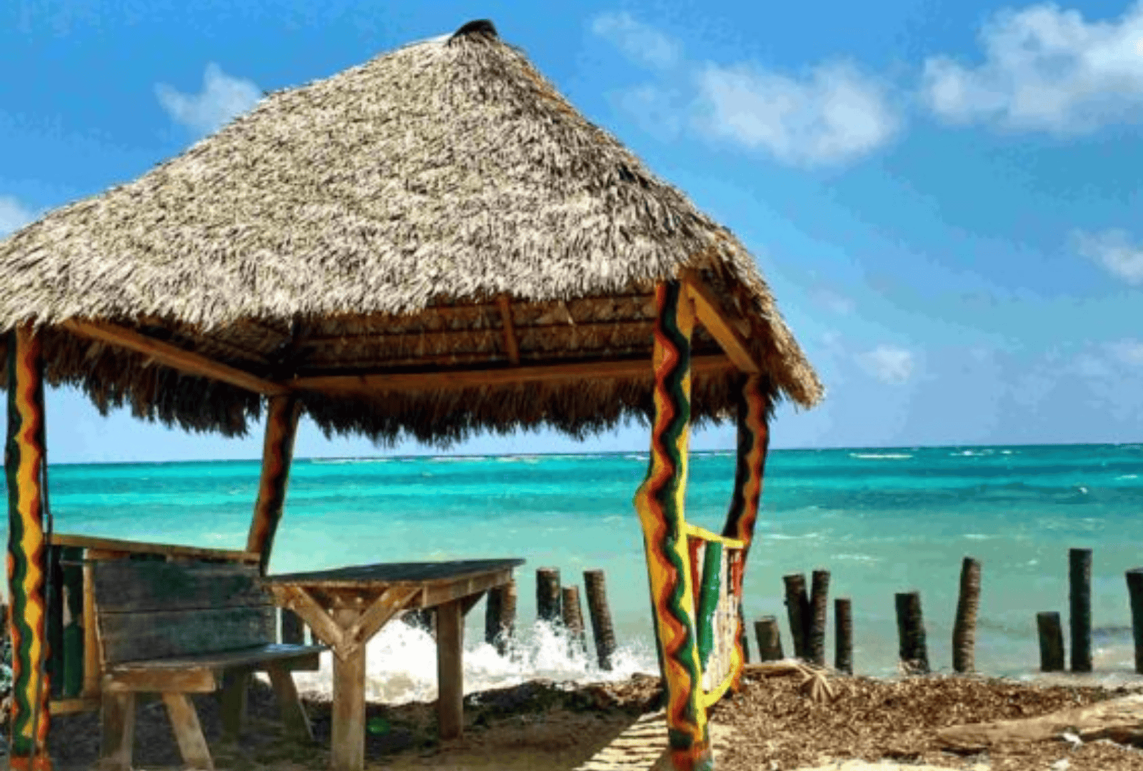 Untitled design - 2026-01-12T165758