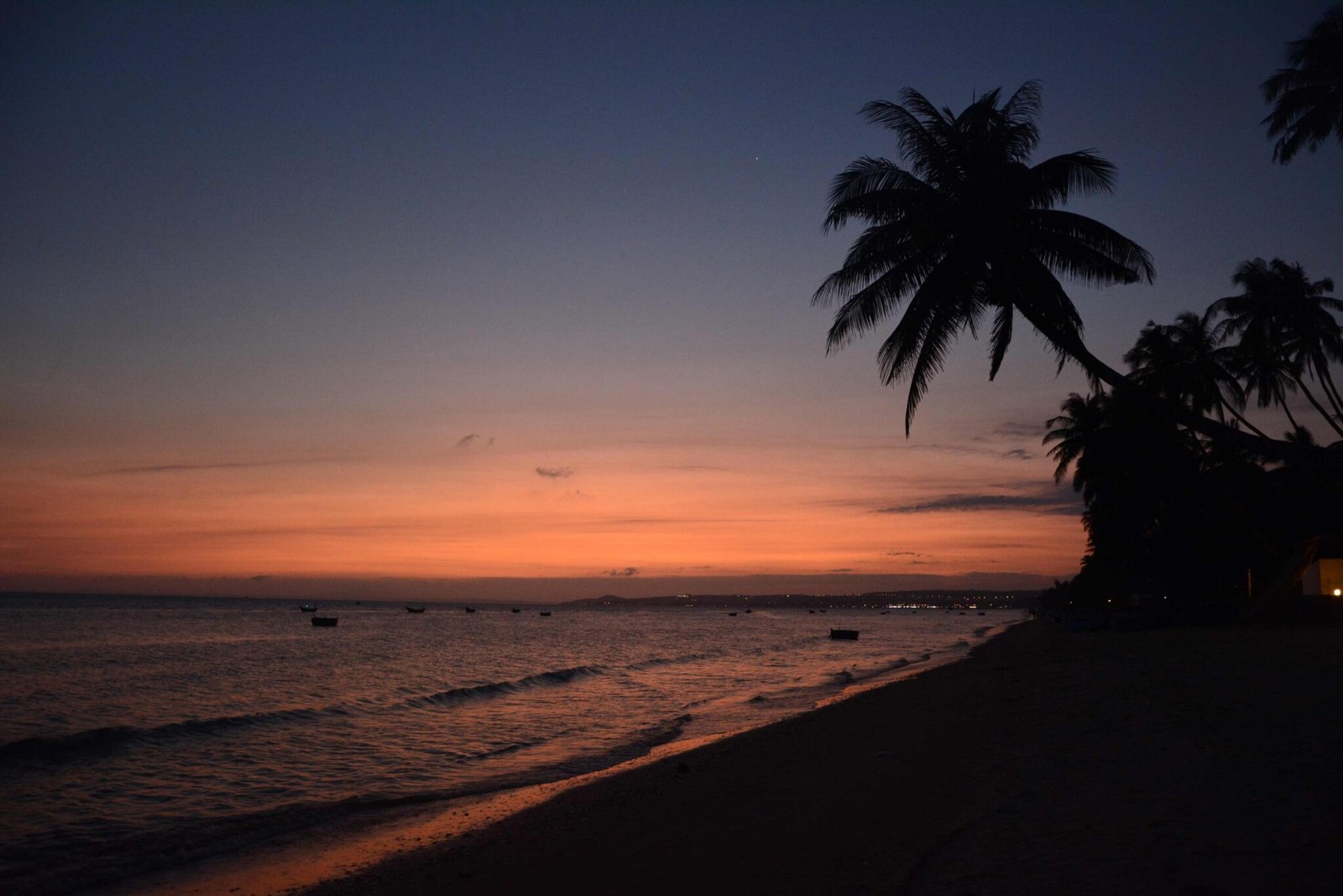 Experiencing the timeless land: things to do in Vietnam.