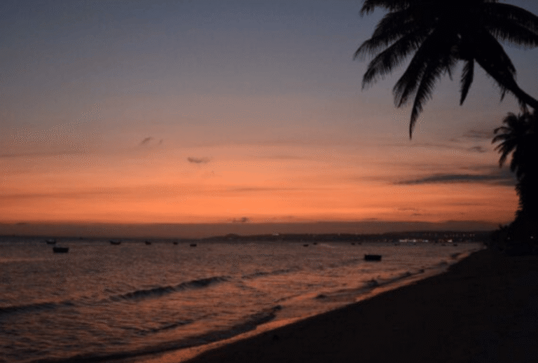 Untitled design - 2026-01-12T163731