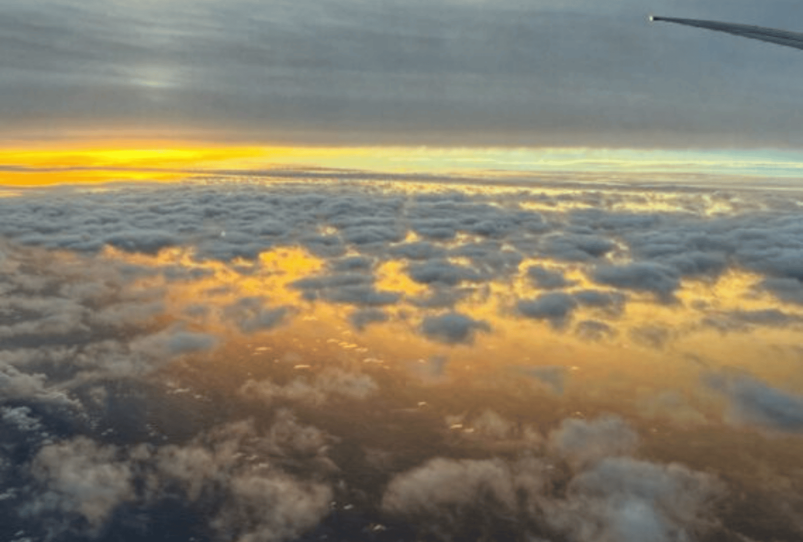 Untitled design - 2026-01-12T165214