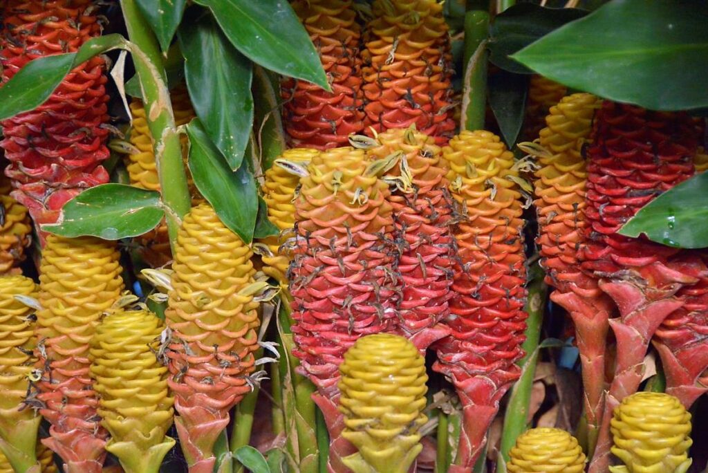 Best hikes in Colombia