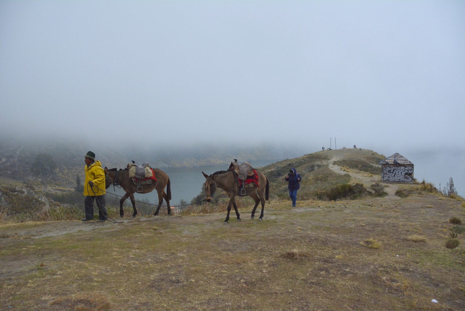 From Jungle To Summits: Best Hikes in Ecuador.