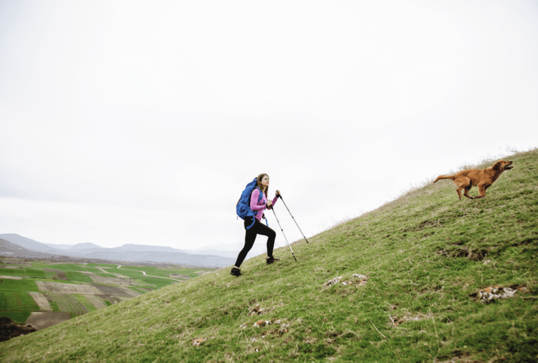 Untitled design - 2026-01-12T162516