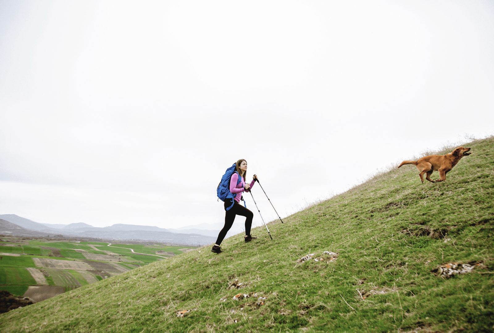 Untitled design - 2026-01-12T162516