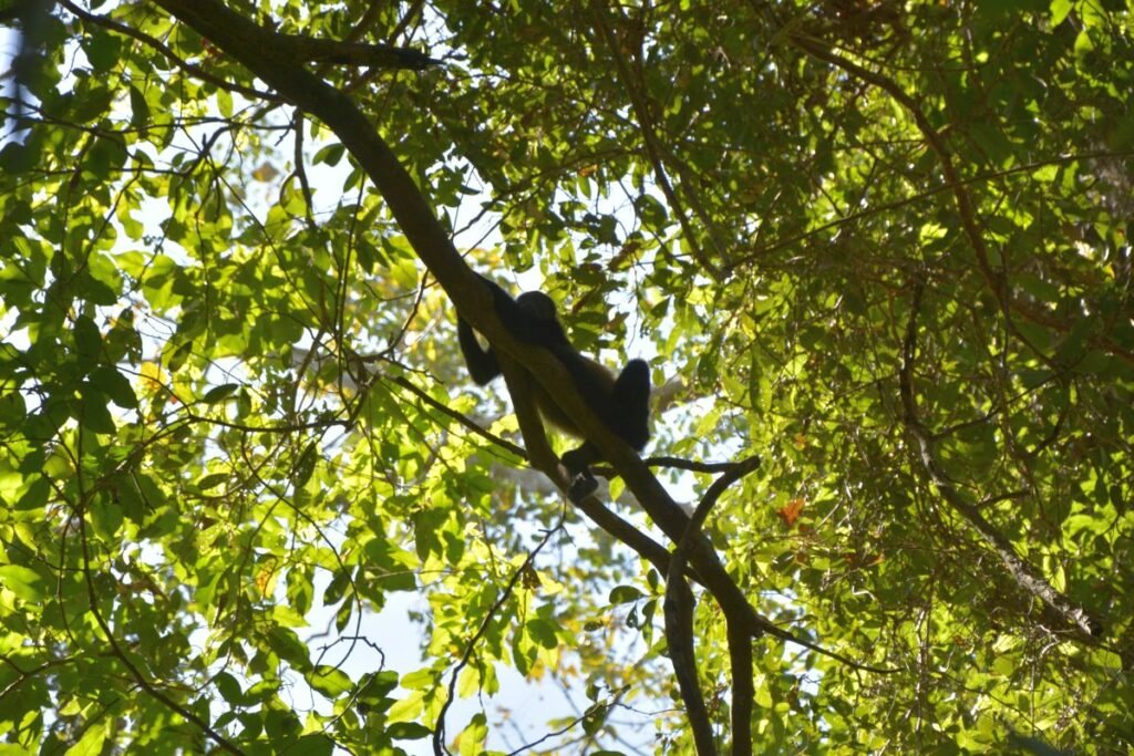 The best time to visit Costa Rica.