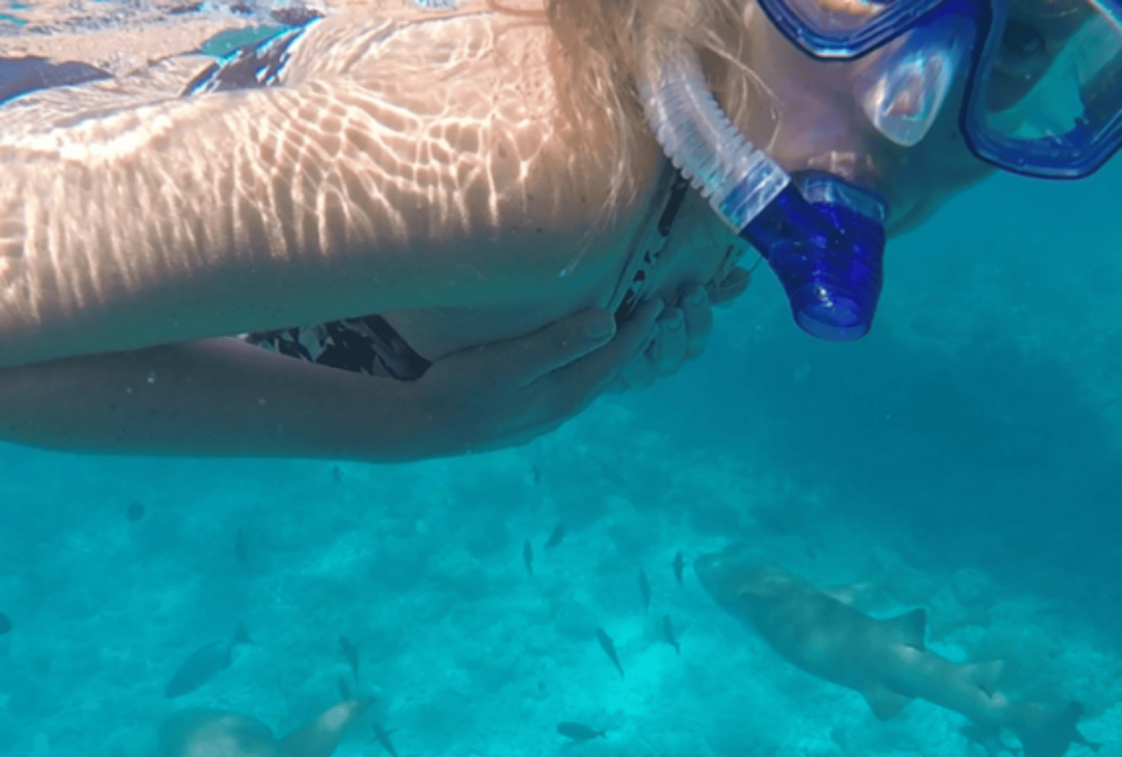 Untitled design - 2026-01-12T154848