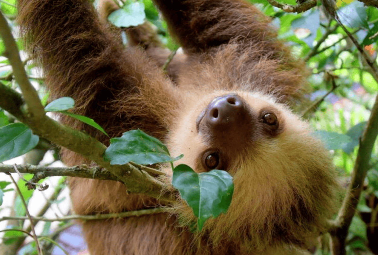 Untitled design - 2026-01-12T155410