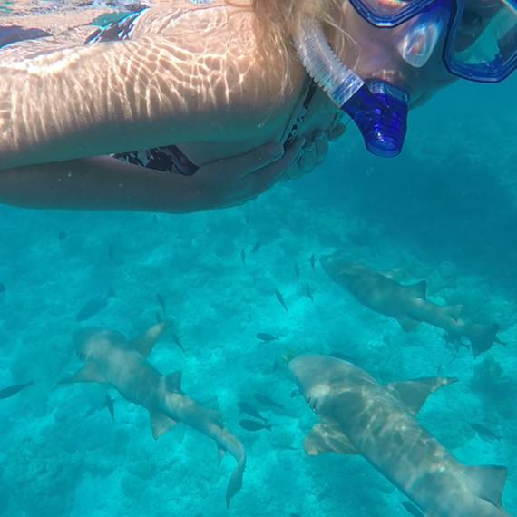 Maldives islands on a budget