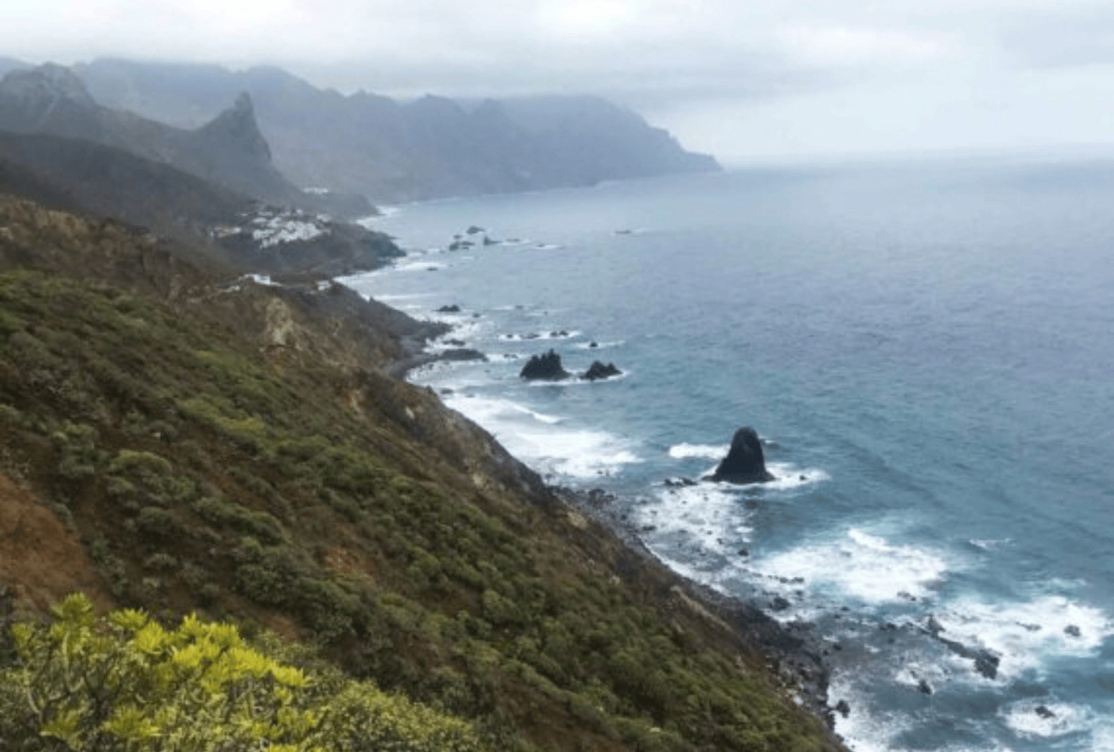 Untitled design - 2026-01-12T153305